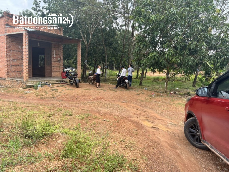 Bán đất Đường Quốc lộ 14, Xã Đồng Tâm, Huyện Đồng Phú