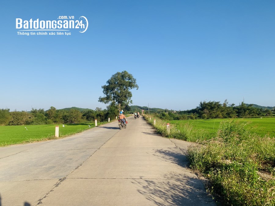 Lô Tịnh Ấn Đông, hộ khẩu thành phố, ngang hơn 8m. chỉ 4xx. Alo 039 4344 199
