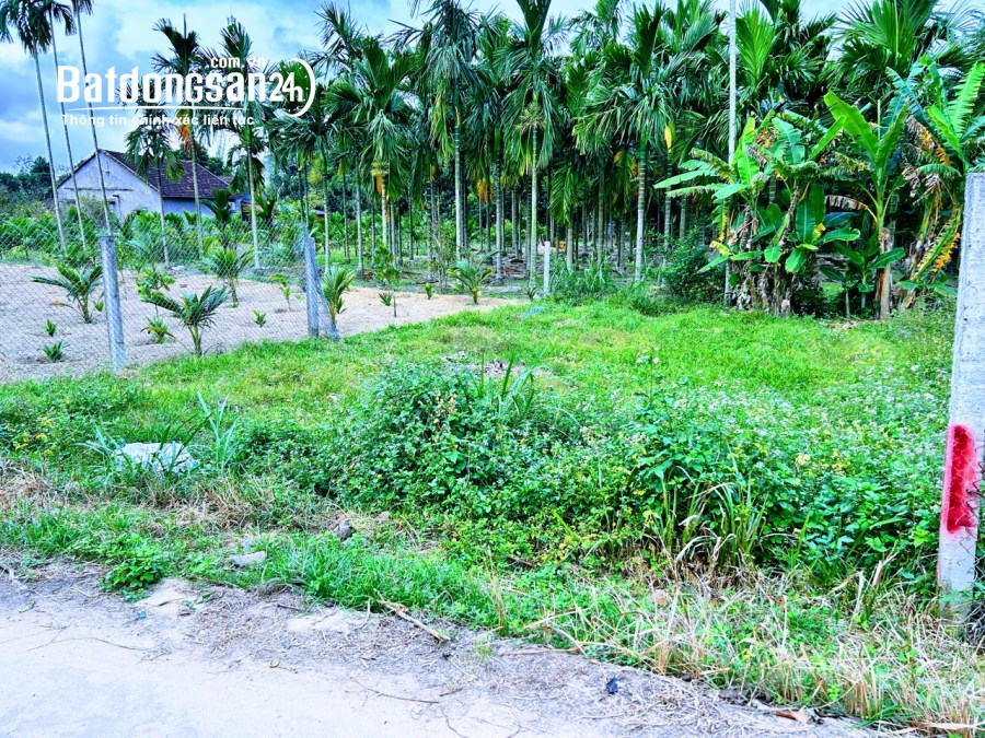 Lô Tịnh Ấn Đông, hộ khẩu thành phố, ngang hơn 8m. chỉ 4xx. Alo 039 4344 199