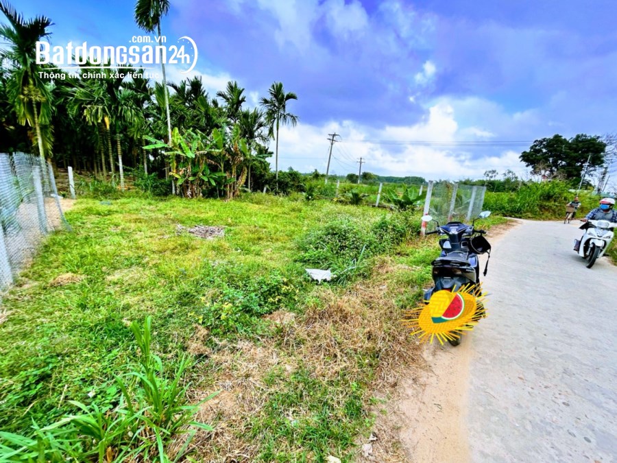 Lô Tịnh Ấn Đông, hộ khẩu thành phố, ngang hơn 8m. chỉ 4xx. Alo 039 4344 199