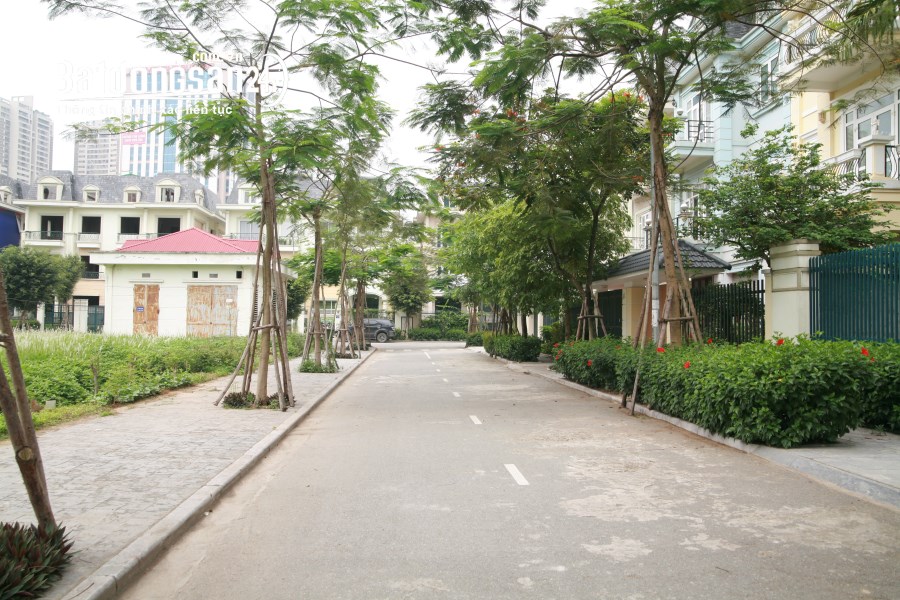 bán gấp biệt thự An Vượng khu đô thị dương nội nam cường dt180m2,giá siêu rẻ