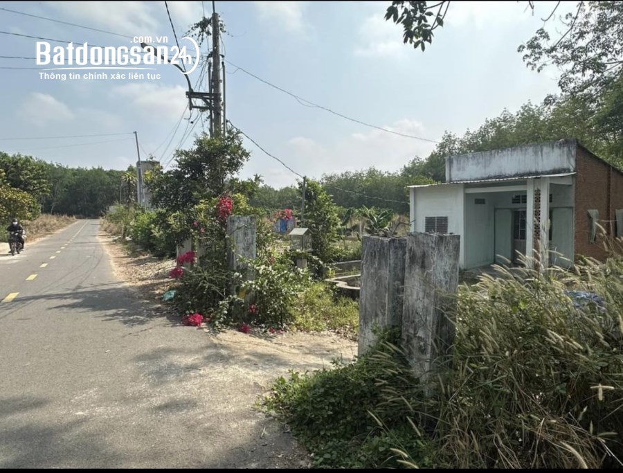 BÁN MẢNH VƯỜN 1250M2 ĐANG CHO TRÁI GIÁ 420TR,CÓ 100M2 THỔ CƯ