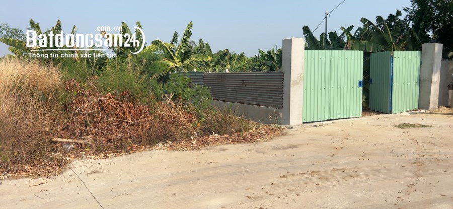 Bán đất SR thổ cư, Xã Sông Trầu,Trảng Bom,  lô gốc 2mt đường 6m, giá 680 tr/ Dt; 138m