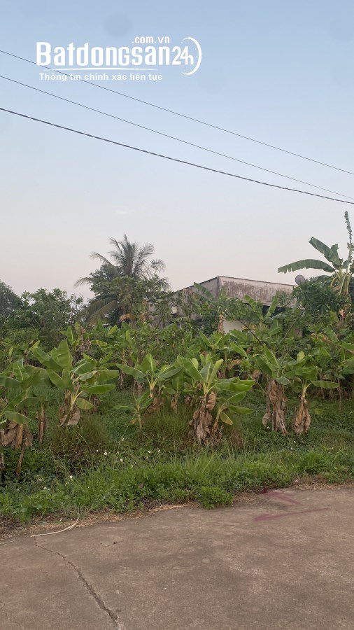 Bán đất Đường 14, Xã Bình An, Huyện Long Thành