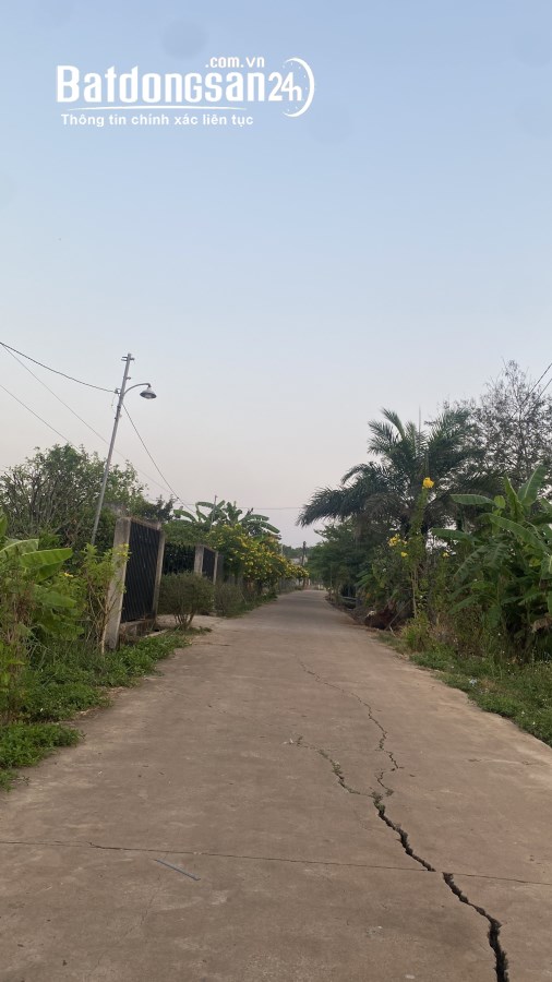 Bán đất Đường 14, Xã Bình An, Huyện Long Thành