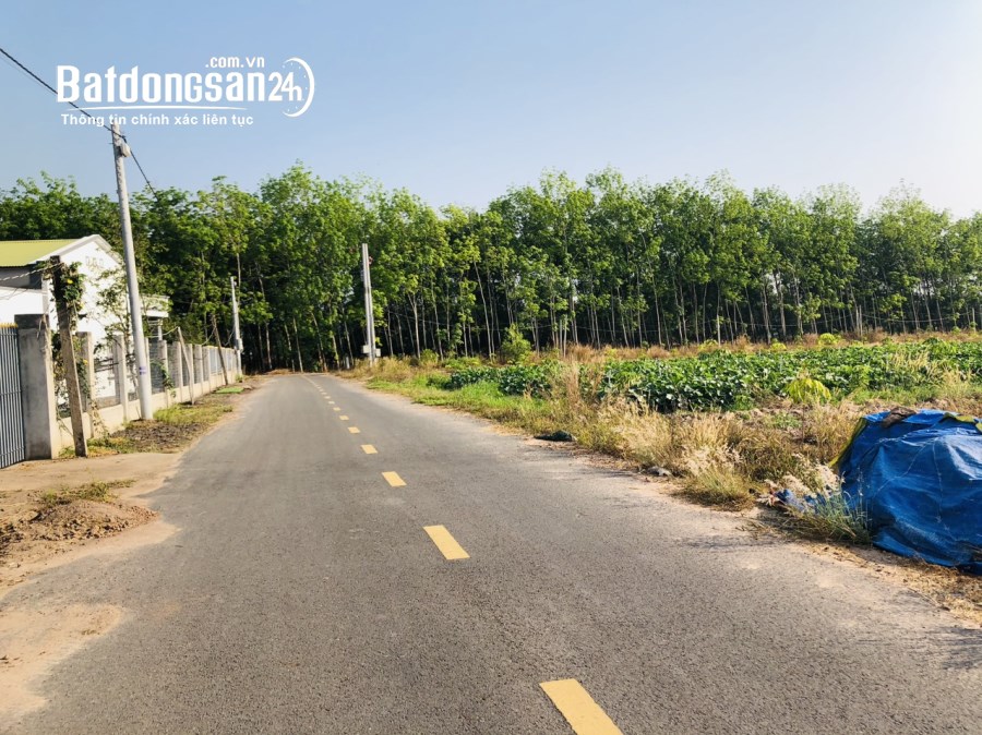 Bán đất Đường 13, Xã Minh Thành, Huyện Chơn Thành