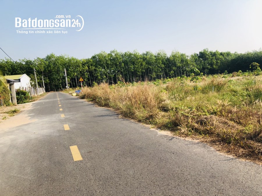 Bán đất Đường 13, Xã Minh Thành, Huyện Chơn Thành