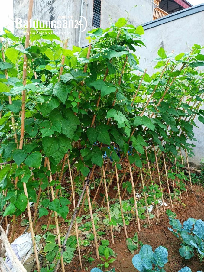 ĐẸP HIẾM-Nhỉnh 1 Tỷ-Ô Tô 7 Chỗ Vào Đất-DT 40m²-MT 6,1m-Tại Vân Trì-Vân Nội Đông Anh