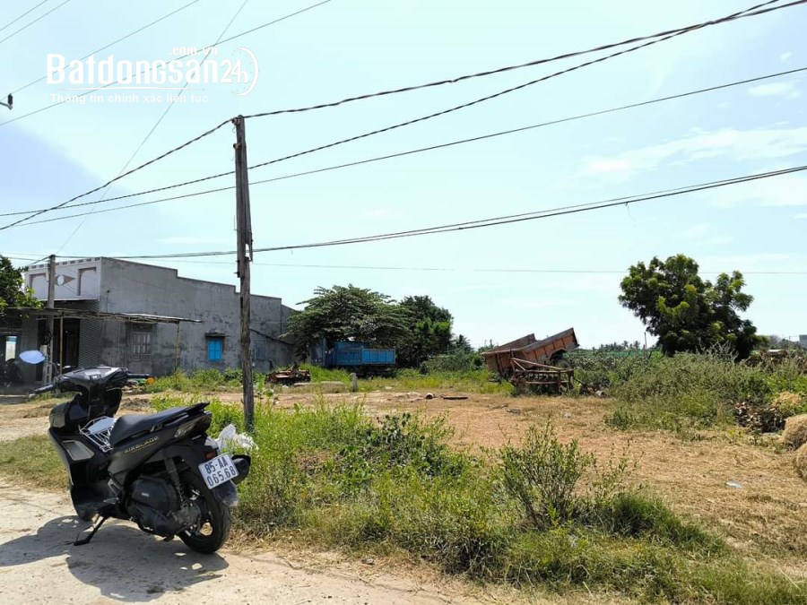 Đất đẹp giá đầu tư chỉ 780triệu - Chủ cần bán gấp ở Tuy Phong Bình Thuận