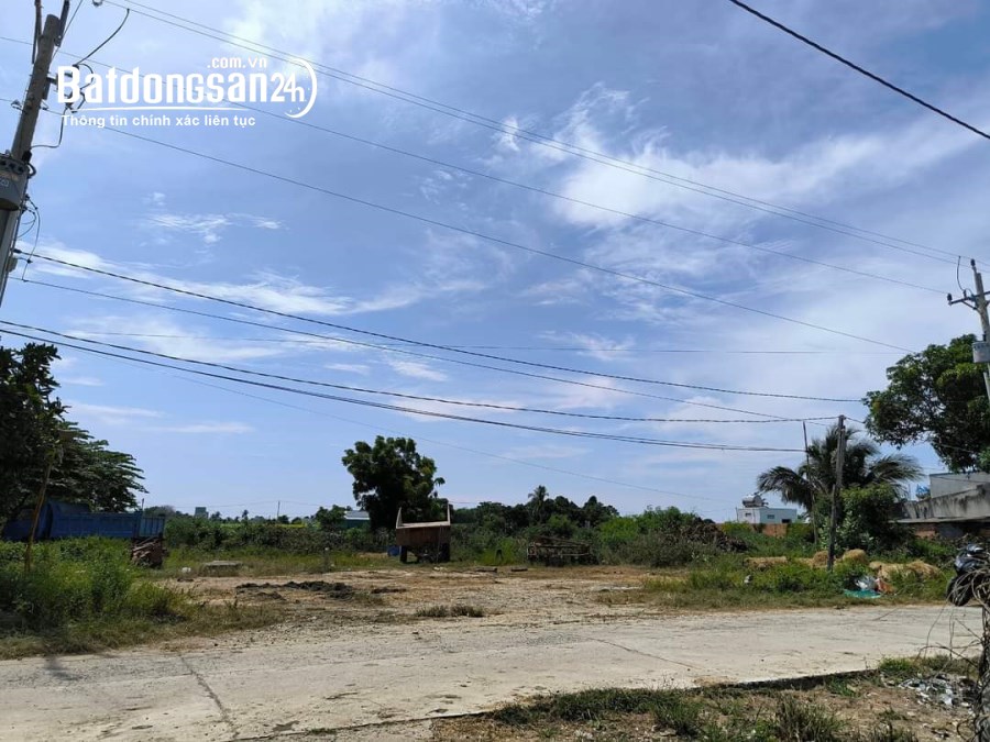 Đất đẹp giá đầu tư chỉ 780triệu - Chủ cần bán gấp ở Tuy Phong Bình Thuận