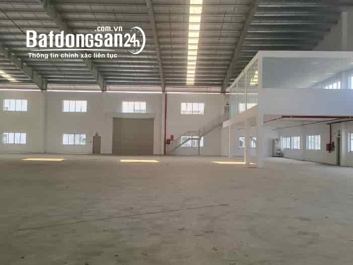 Cho thuê đất riêng, kho xưởng Đường 13, Phường Mỹ Phước, Tp Bến Cát