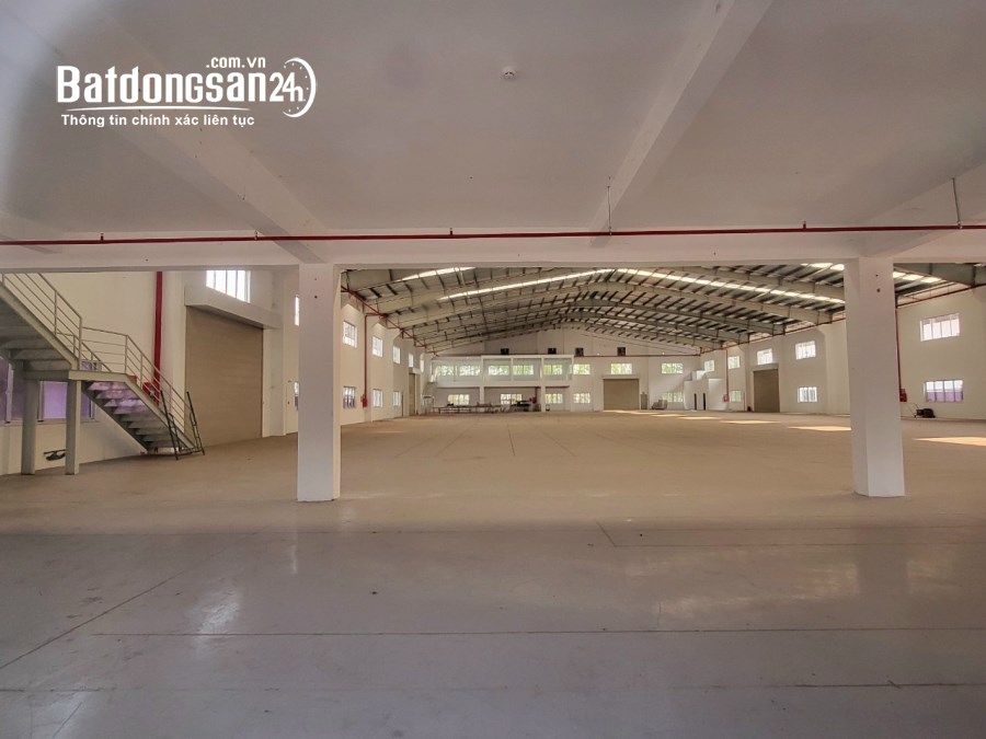 Cho thuê đất riêng, kho xưởng Đường 13, Phường Mỹ Phước, Tp Bến Cát