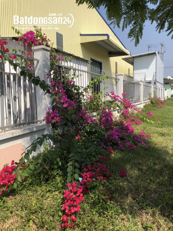CHO THUÊ KHO XƯỞNG 3000m2 KHU CÔNG NGHIÊP LONG HẬU 