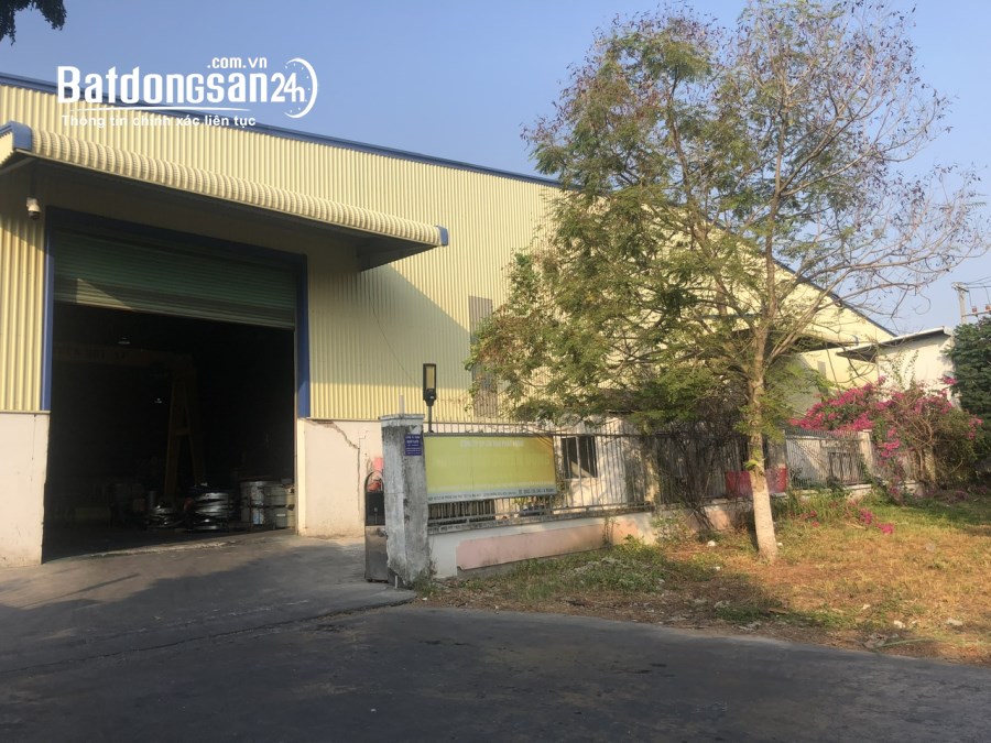 CHO THUÊ KHO XƯỞNG 3000m2 KHU CÔNG NGHIÊP LONG HẬU 