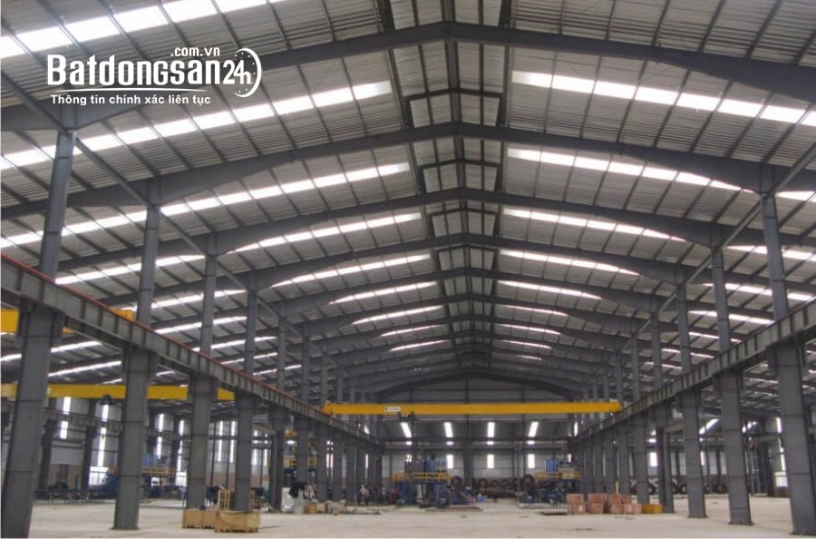 Cho thuê đất riêng, kho xưởng Đường 11, Phường Phú Tân, Thủ Dầu Một