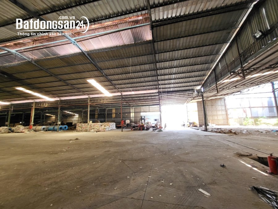 Cho thuê đất riêng, kho xưởng Đường 13, Xã An Điền, Tp Bến Cát