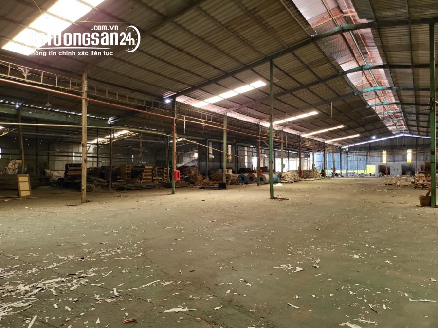 Cho thuê đất riêng, kho xưởng Đường 13, Xã An Điền, Tp Bến Cát