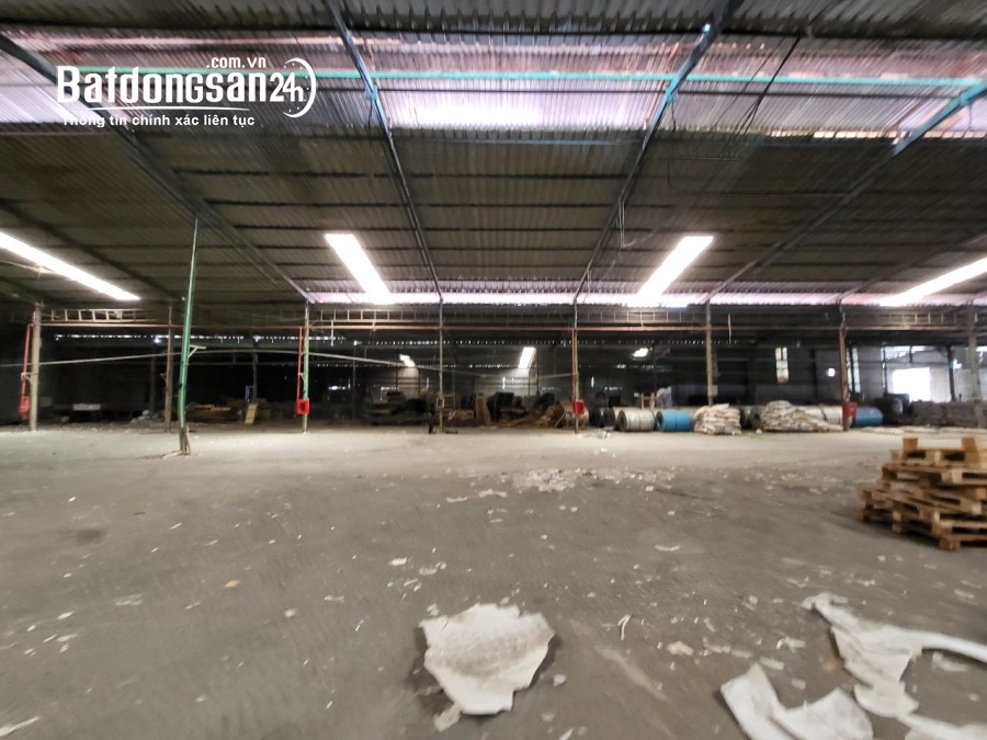 Cho thuê đất riêng, kho xưởng Đường 13, Xã An Điền, Tp Bến Cát