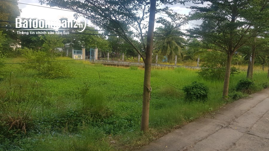 Bán đất Đường Đinh Đức Thiện, Xã Bình Chánh, Huyện Bình Chánh. Giá chỉ 11 triệu/m2