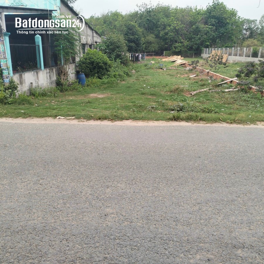 Bán đất Đường ĐT 9, Xã Mỹ Hạnh Nam, Huyện Đức Hoà