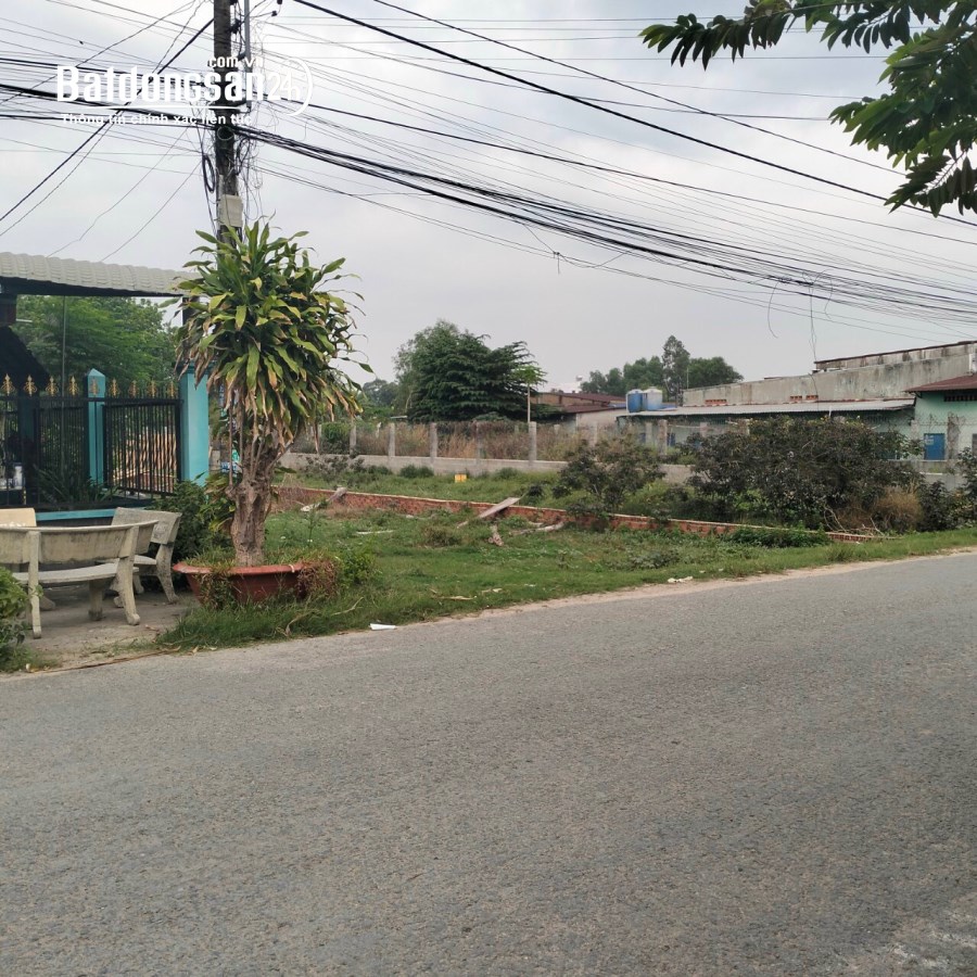 Bán đất Đường ĐT 9, Xã Mỹ Hạnh Nam, Huyện Đức Hoà