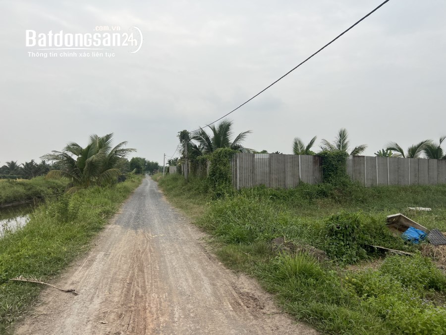 Bán 1,2ha đất nông nghiệp Xã Tân Nhựt giá tốt