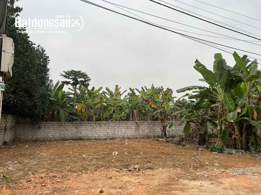 Cần bán lô đất đầu tư full thổ cư 70m² tại Tân Xã _ Thạch Thất.