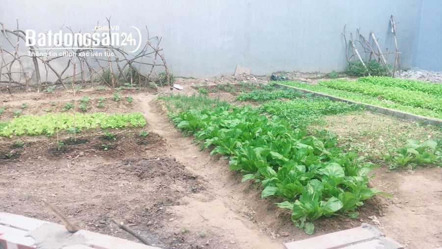 GẤP ! Bán Đất Ngõ 135 Bồ Đề, Hồng Tiến, 100m2, MT5m, Phân Lô, Ô Tô Thông, Kinh Doanh