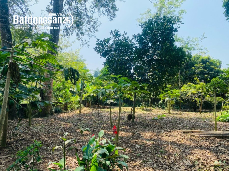 BÁN GẤP LÔ ĐẤT VIEW HỒ CÓ DT 600m2 FULL THỔ CƯ GIÁ RẺ CHỈ NHỈNH 1 TỶ