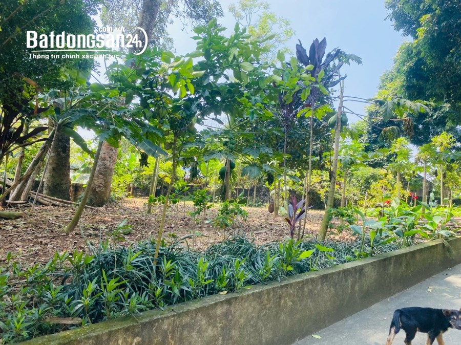 BÁN GẤP LÔ ĐẤT VIEW HỒ CÓ DT 600m2 FULL THỔ CƯ GIÁ RẺ CHỈ NHỈNH 1 TỶ