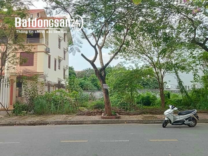 Bán đất biệt thự mặt đường An Dương Vương, Đông Nam Cường, TP HD, 307.5m2, mt 15m, gi