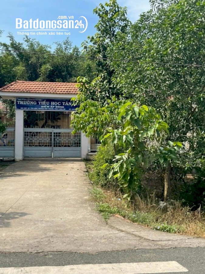Bán đất Đường Tỉnh lộ 829, Xã Tân Hoà, Huyện Tân Thạnh