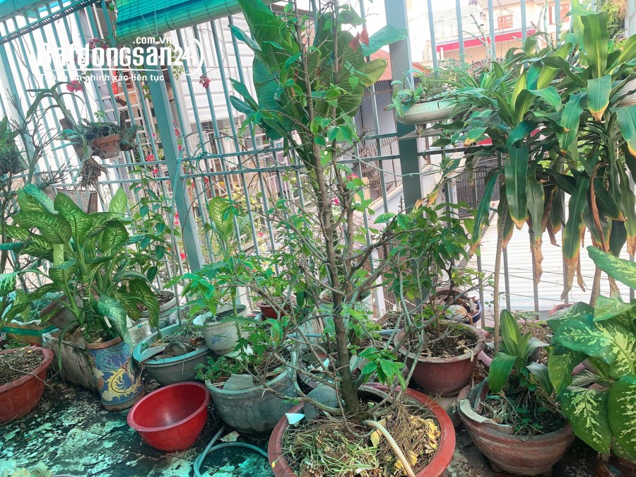 Hiếm DT Khủng 75m2 x2 Tầng Nở Hậu 5m chỉ 5,2 Tỷ, Bán Nhà Trần Thị Trọng