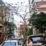 Bán căn hộ chung cư Phố Trần Quý Kiên, Phường Dịch Vọng Hậu, Quận Cầu Giấy
