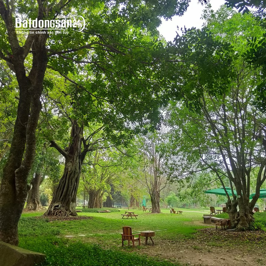 Mở bán căn hộ chung cư cao cấp sở hữu tầm view độc bản tại phía Đông Hà Nội