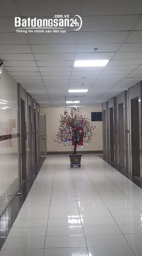 Căn hộ chung cư tại dự án VP6 Linh Đàm, diện tích 50m², đang cần chuyển nhượng. 