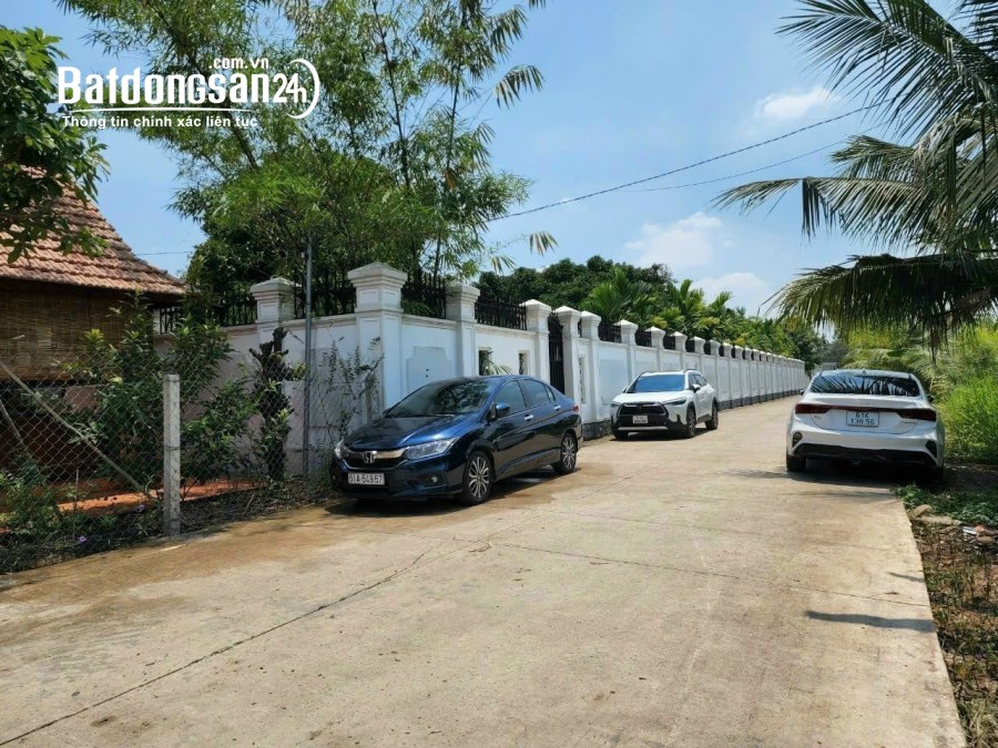 Bán Nhà vườn view rạch Đường 11, Xã An Sơn, Tp - Thuận An