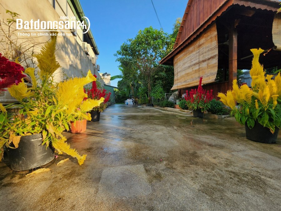 Bán Nhà vườn view rạch Đường 11, Xã An Sơn, Tp - Thuận An