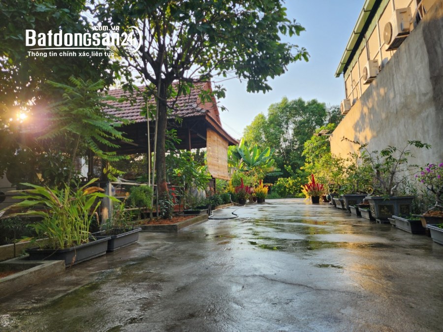Bán Nhà vườn view rạch Đường 11, Xã An Sơn, Tp - Thuận An
