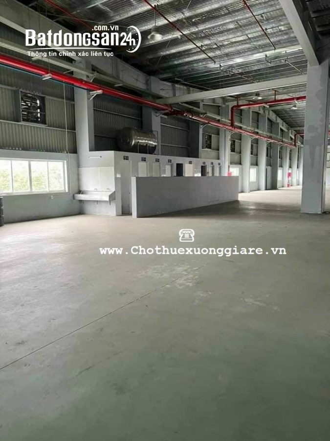 Cho thuê đất riêng, kho xưởng Đường 1, Xã Tân Bình, Thị xã Tân Uyên