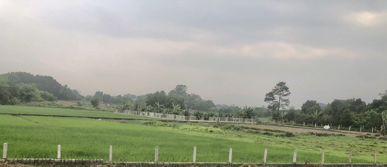 Bán đất Đường Đại lộ Thăng Long, Xã Yên Bình, Huyện Thạch Thất