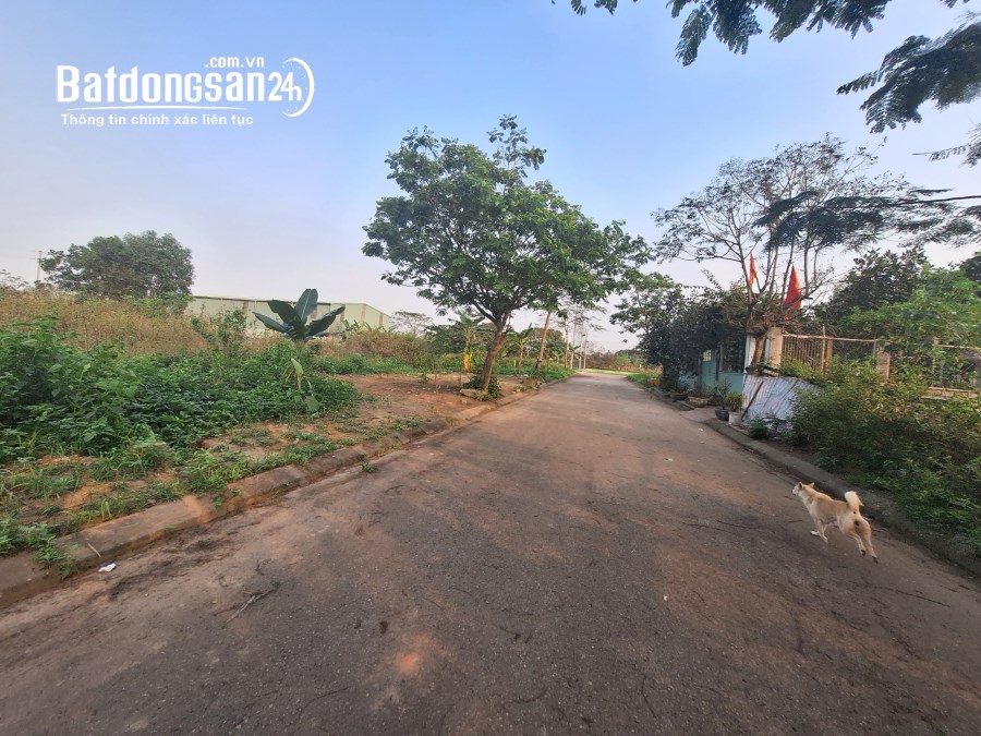Bán đất 430m2 khu Anh Dũng 1, Q Dương Kinh, HP 13tr/m