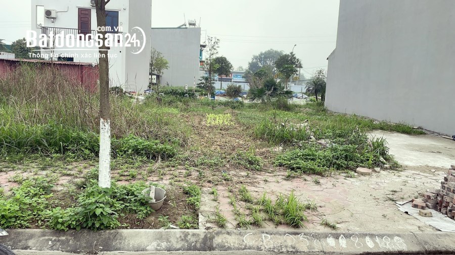 Bán đất KDC Bắc Nguyễn Lương Bằng, TP Hải Dương, 65.25m2, mt 4.5m, hướng bắc, đường 1