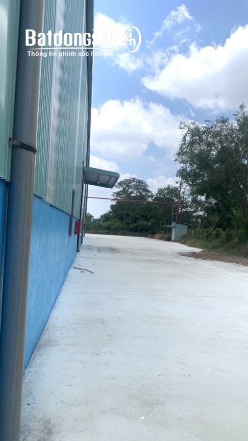 Cho thuê xưởng sản xuất kho chứa hang Đường Tỉnh lộ 835 ,Huyện Cần Giuộc