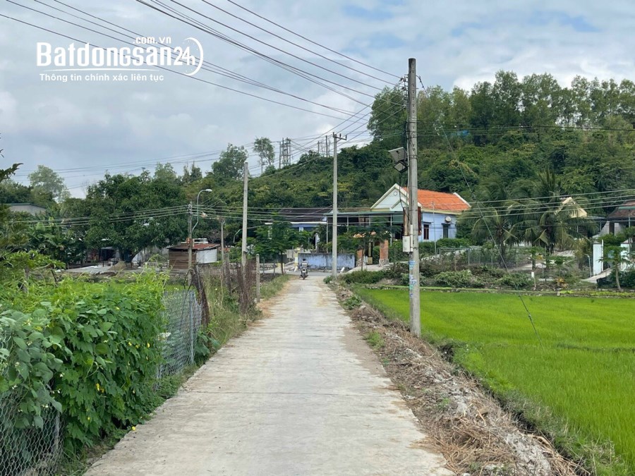 chủ ngộp bán gấp lô ngang 10m giá chỉ 520tr Phường Ninh Giang Ninh Hòa lh 0985451850