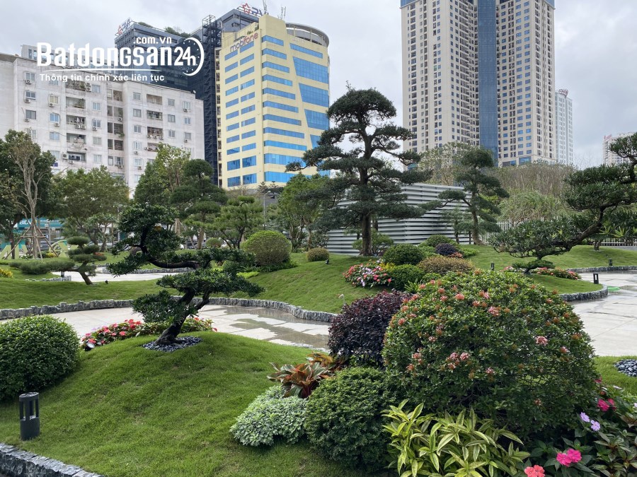 Cho thuê văn phòng hạng A tòa nhà Vinacomin quận Cầu Giấy giá rẻ