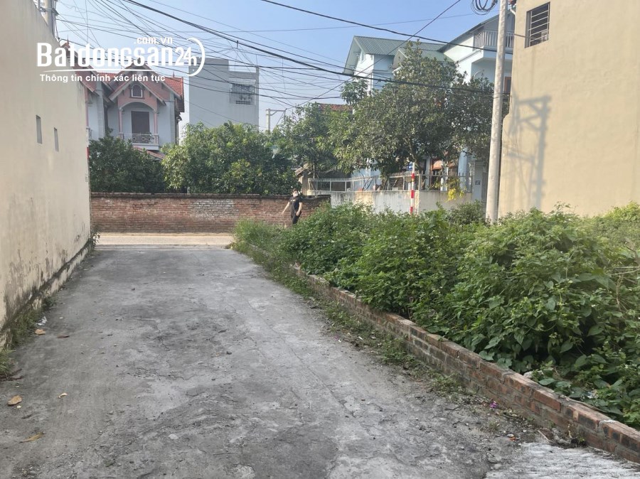 Bán đất Thị trấn Trâu Quỳ, Huyện Gia Lâm