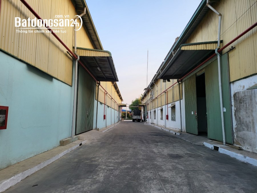 Cho thuê đất riêng, kho xưởng Đường 13, Xã An Tây, Tp Bến Cát