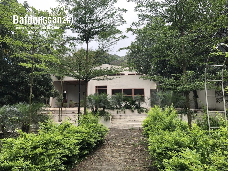 Bán đất Đường 295B, Xã Phật Tích, Huyện Tiên Du