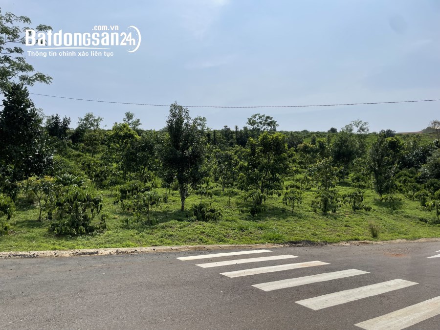Bán đất Đường Nguyễn Tri Phương, Phường Lộc Tiến, Tp Bảo Lộc